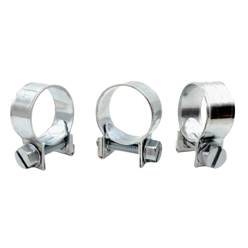 SS304 W4 Mini Hose Clamp for Small Tube