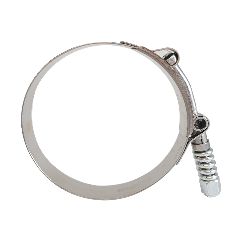 T-Bolt Clamps with Spring