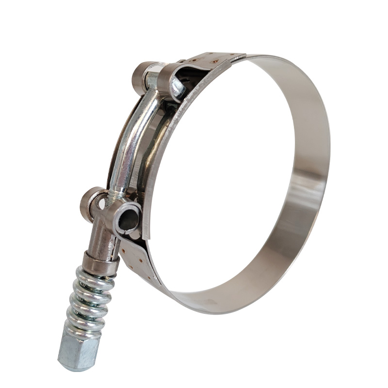 T-Bolt Clamps with Spring